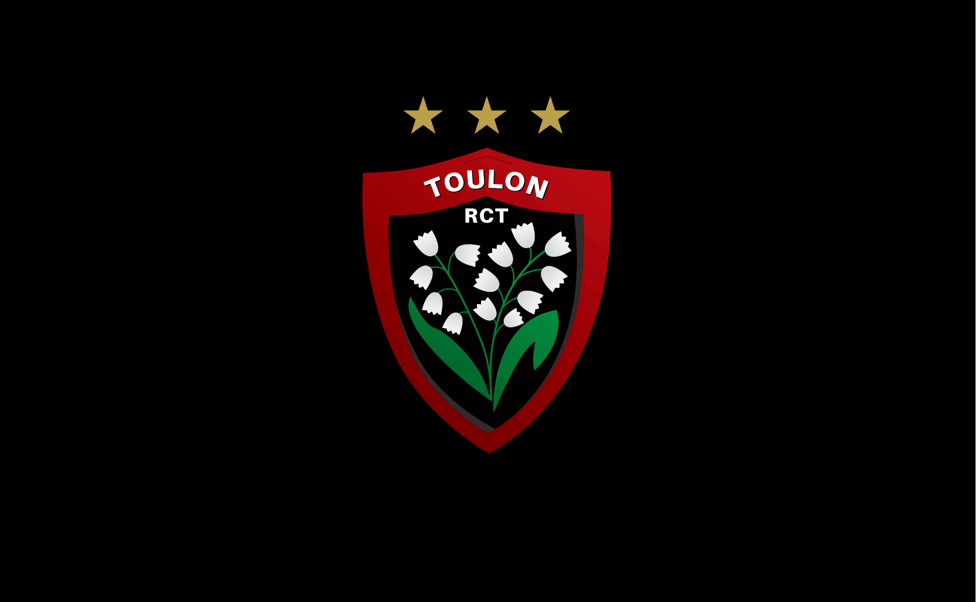 Rugby Club Toulonnais - site internet officiel